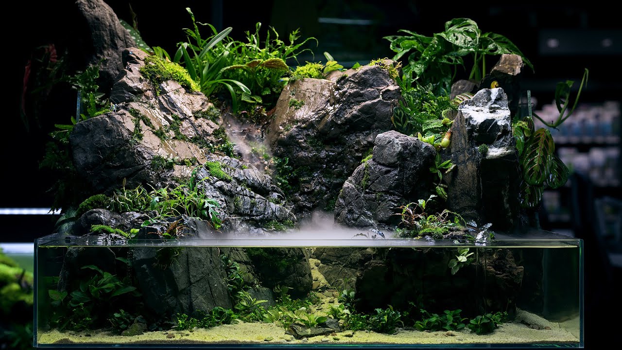 Terrarium / outlets Vivarium