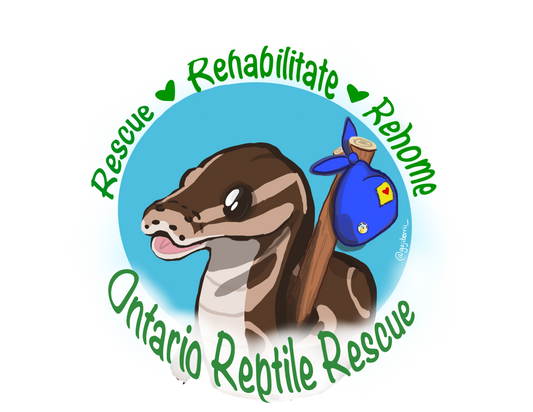 Ontario Reptile Rescue Sticker (Version D)