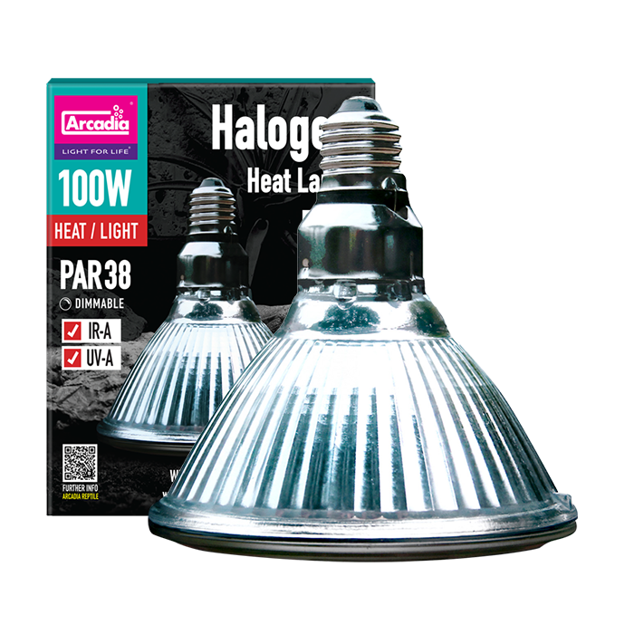 Arcadia Halogen 100W Heat Bulb (PAR38)