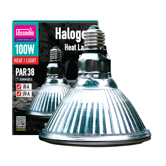 Arcadia Halogen 100W Heat Bulb (PAR38)