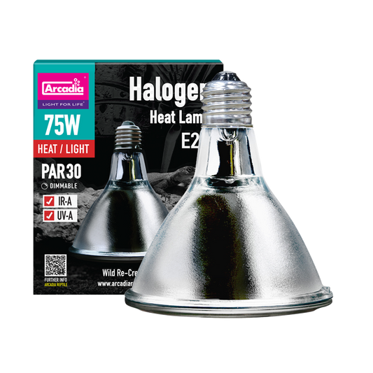 Arcadia Halogen 75W Heat Bulb (PAR30)